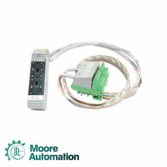 Foxboro DM900WT Termination Cable Assembly