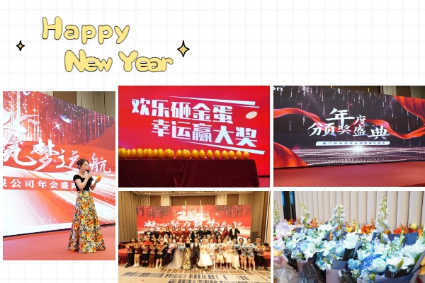 Annual Company Party Successfully Held, A Night of Exciting Moments