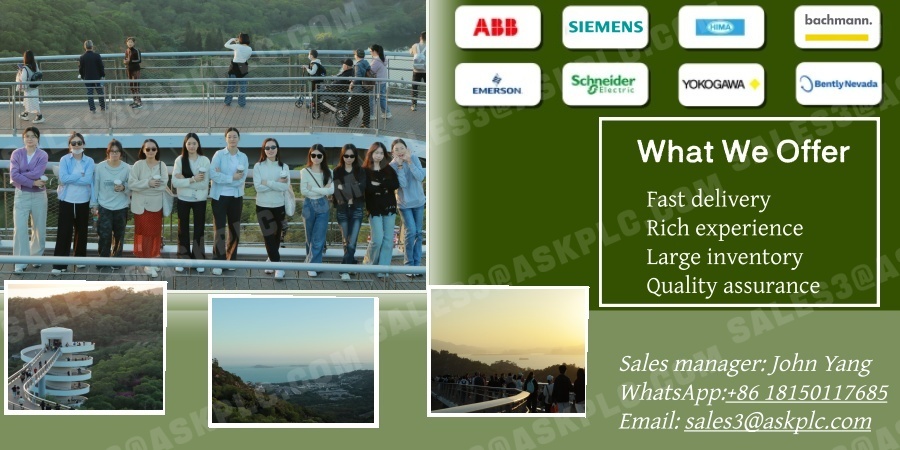 Delicacies, Songs and Mountains & Seas: MOORE Team Creates Warm Sunset Memories Together!